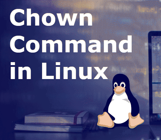 comando chown linux