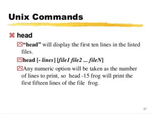 Head Linux Comando linux head con ejemplos prácticos