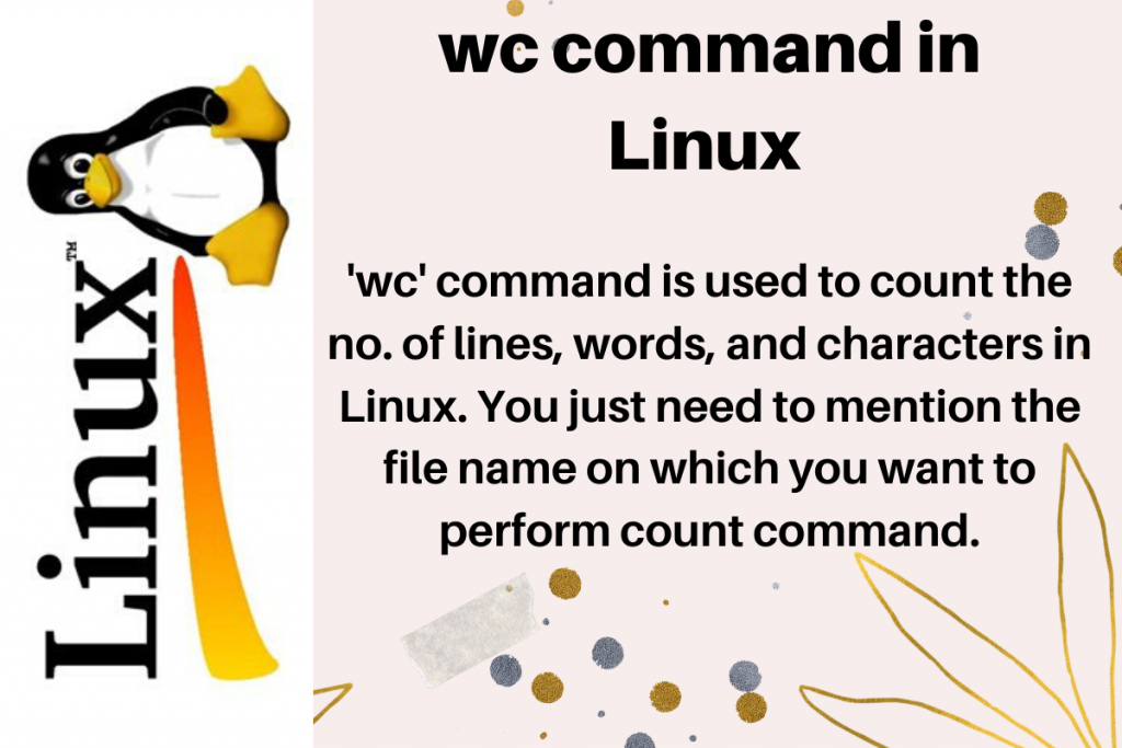 wc-command-in-Linux